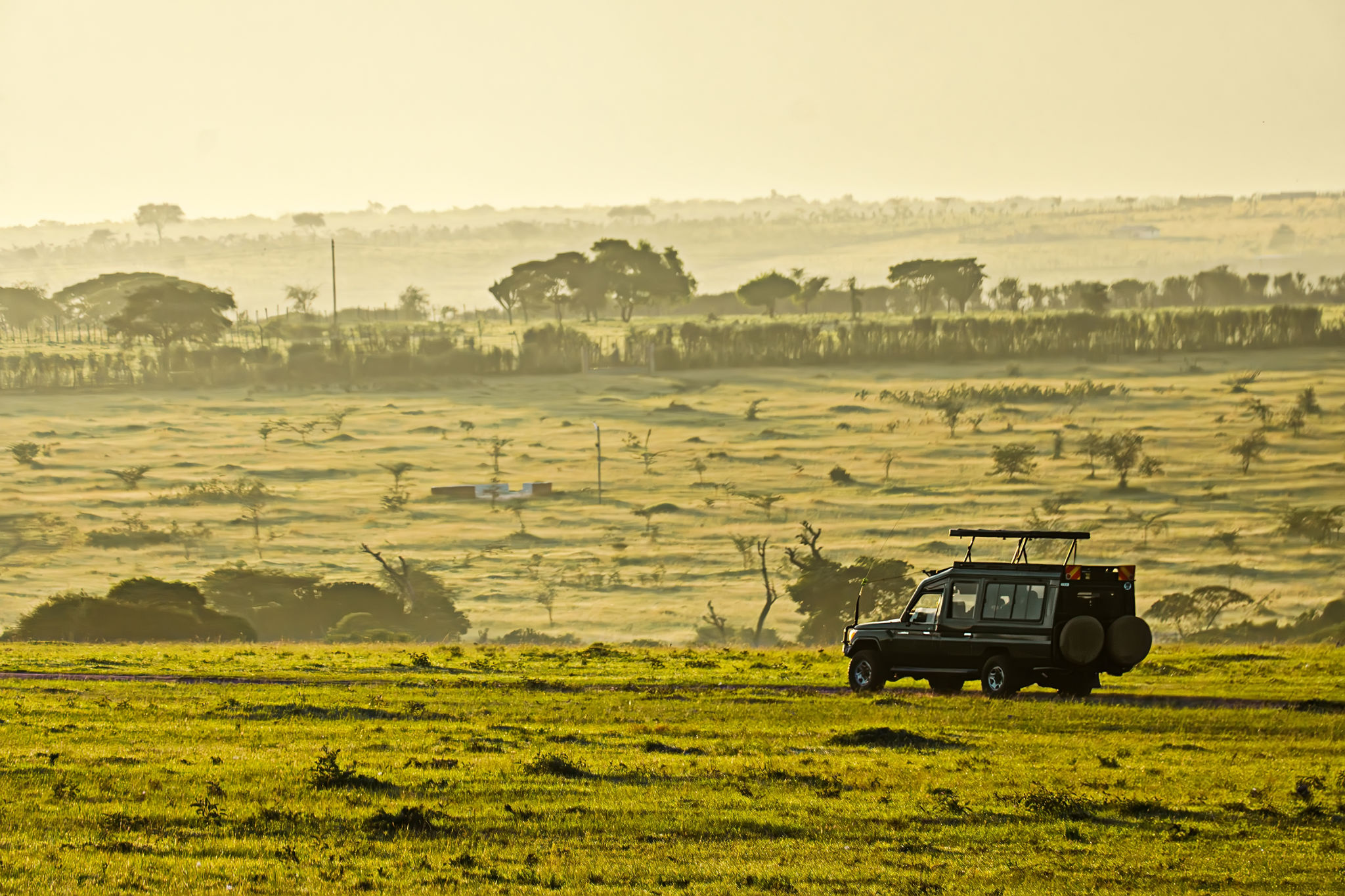 Combine multiple Tanzania safari destinations in one unforgettable journey