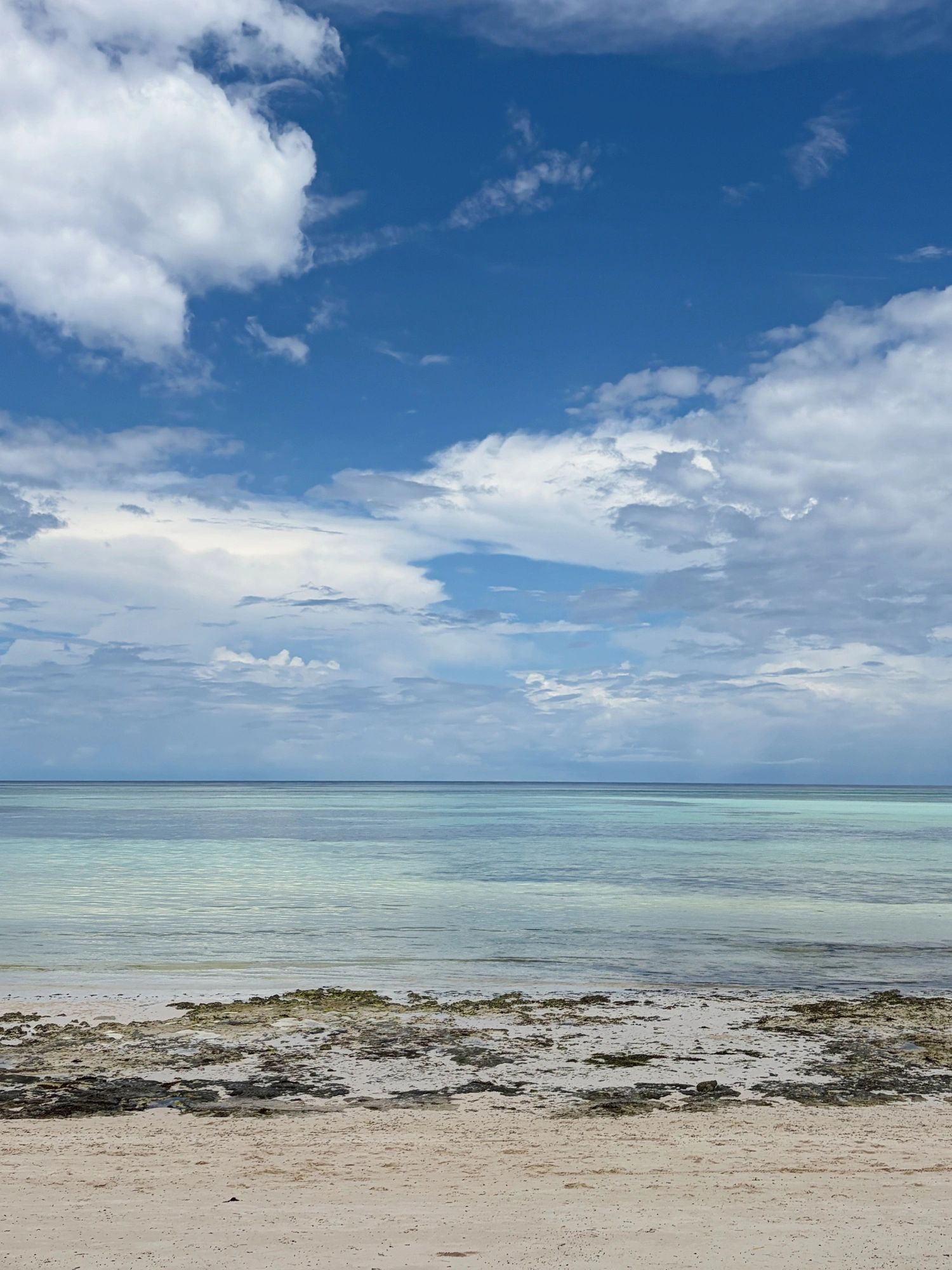 Turquoise ocean and white sand beach in Zanzibar