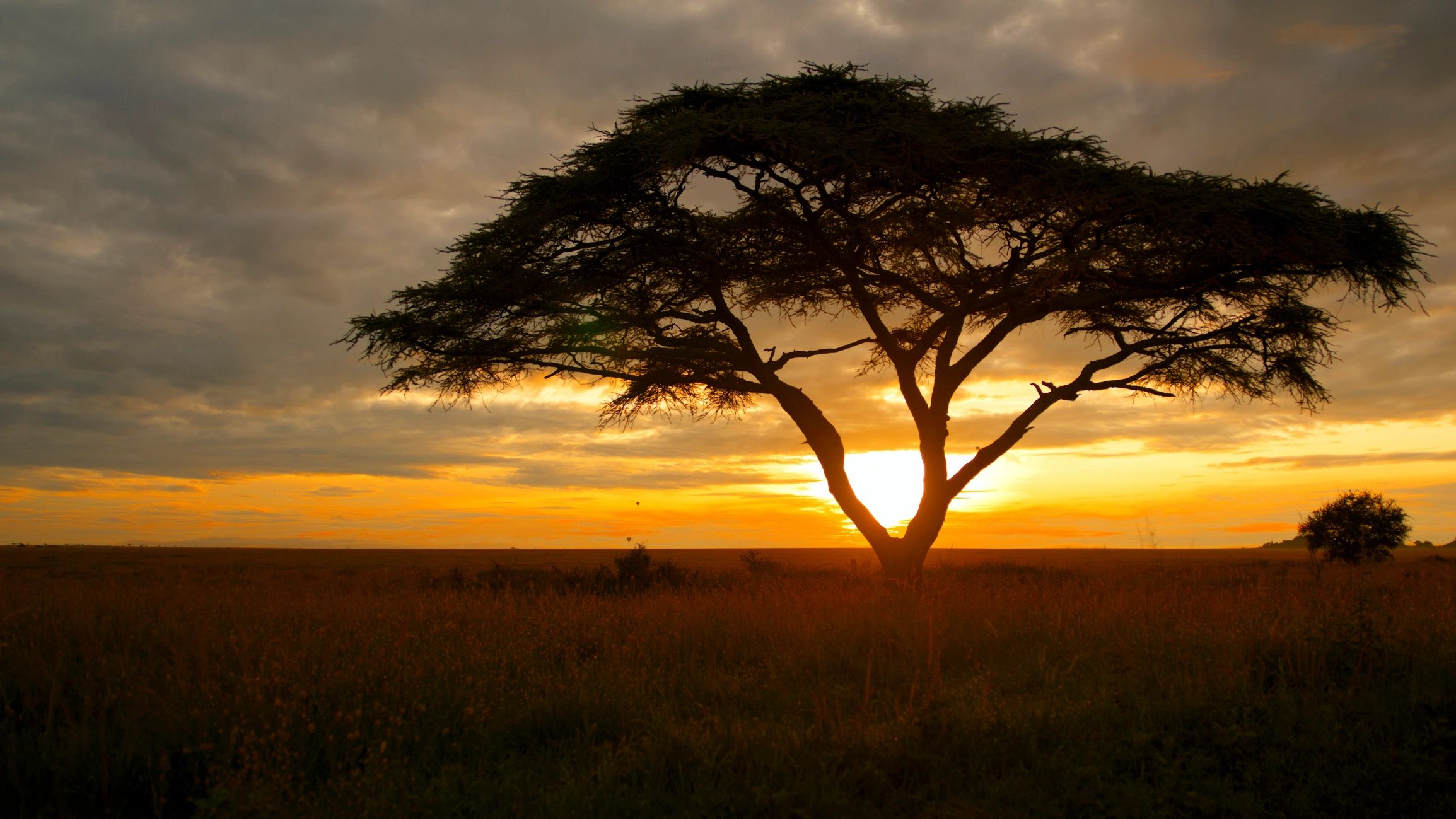 Panoramic view of Ngorongoro Crater at sunset
