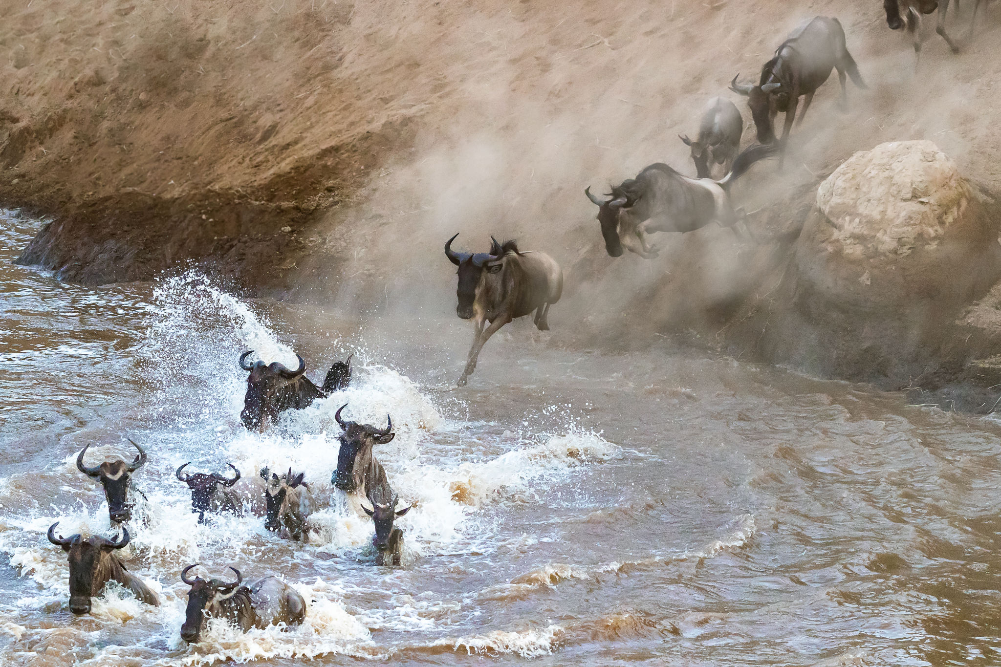Tanzania vs Kenya Safari: Which Should You Choose?
