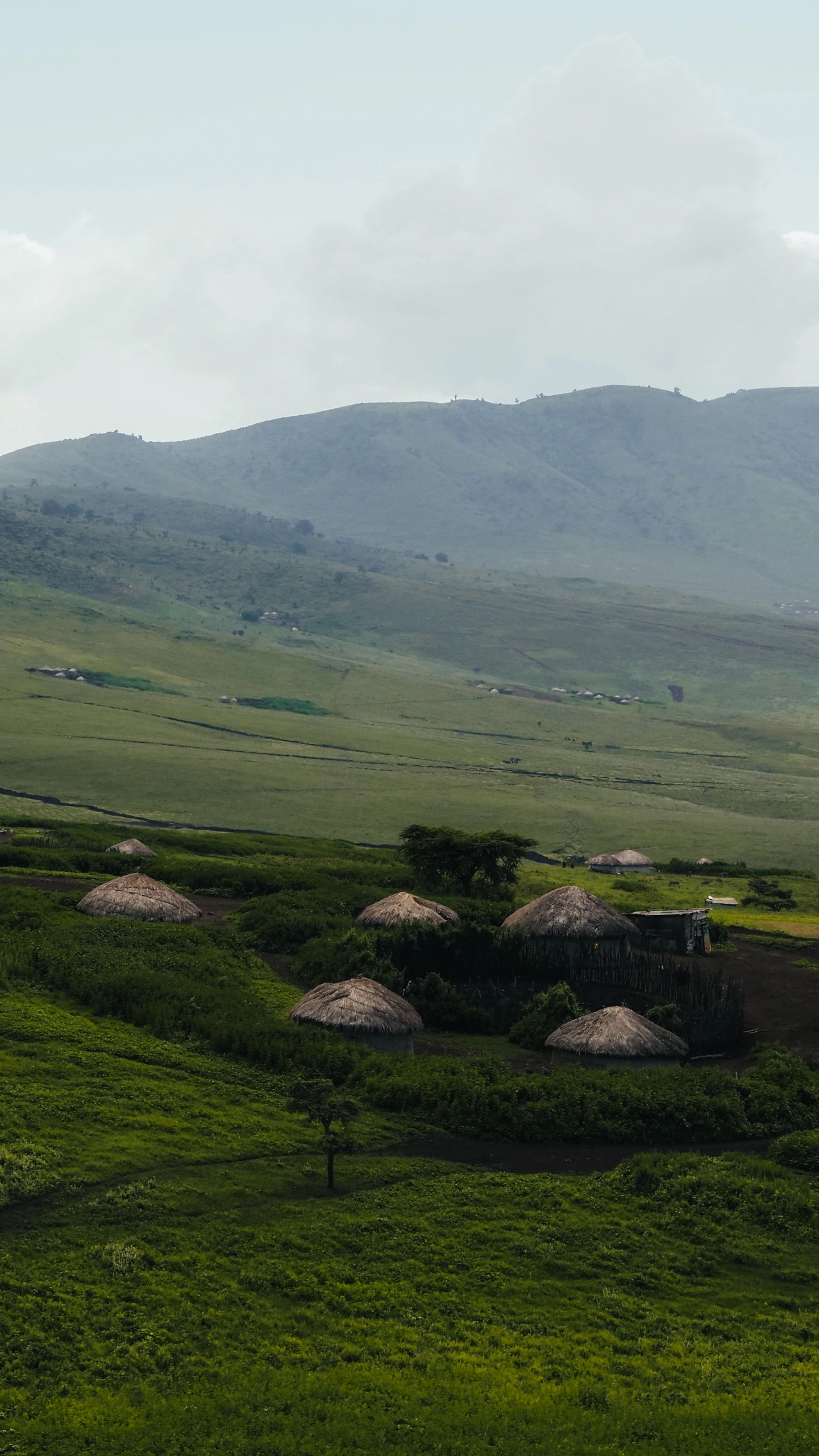 Ngorongoro Crater viewed from the rim at sunrise