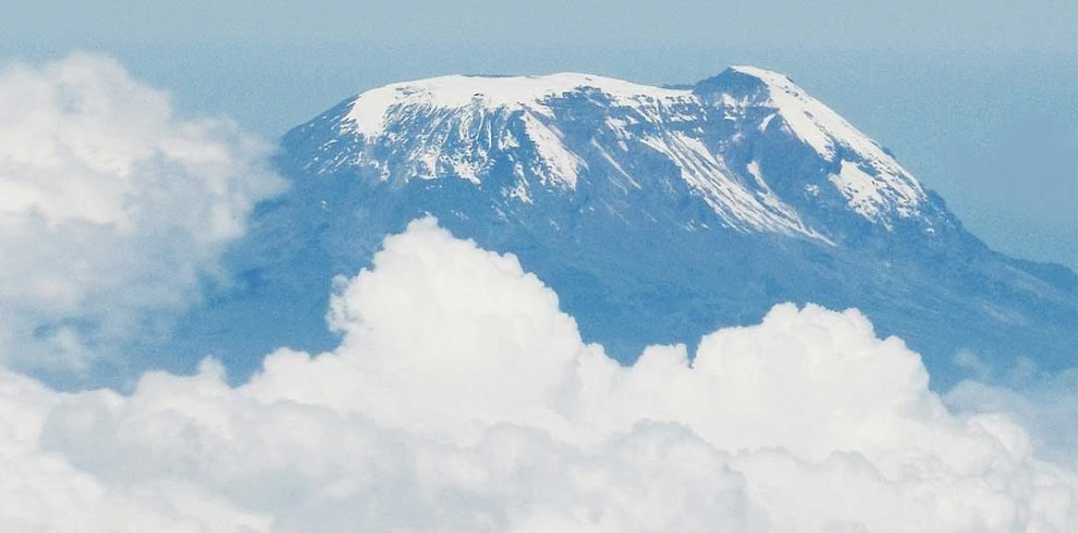 Kilimanjaro Climbing via Absolute wilderness